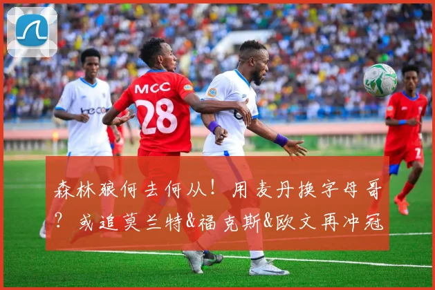 森林狼何去何从！用麦丹换字母哥？或追莫兰特&福克斯&欧文再冲冠