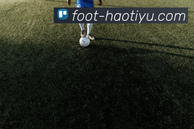 登录器